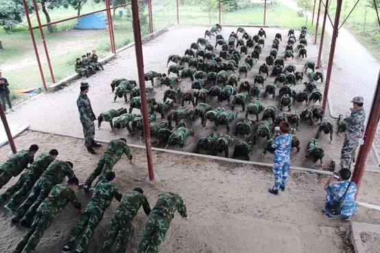 1516273589854979.jpg clip_image024.jpg